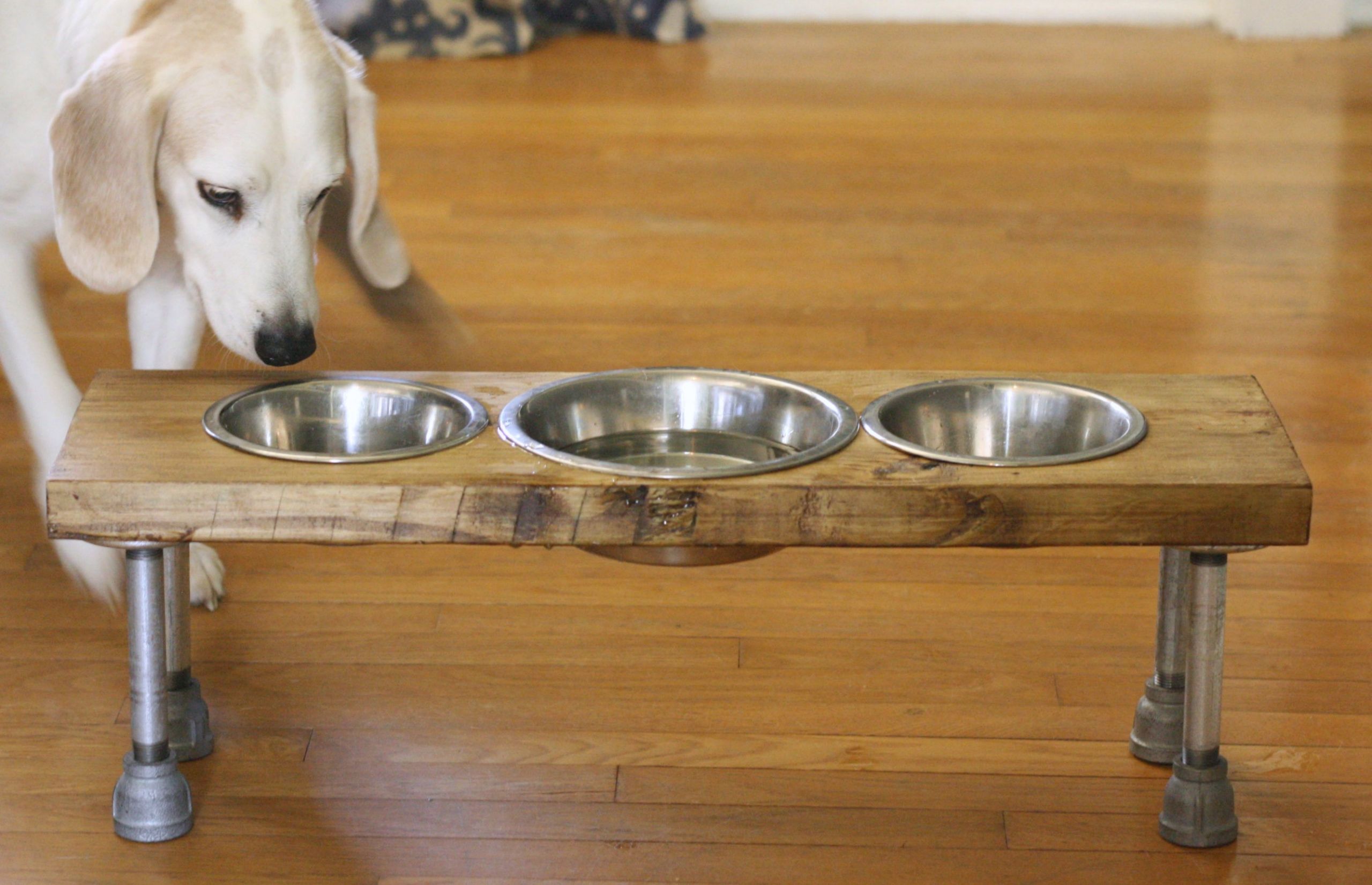 DIY Homemade Dog Feeders
 DIY Industrial Elevated Dog Feeder