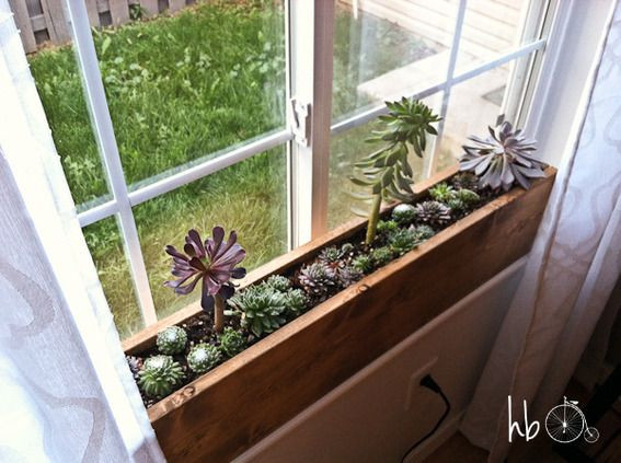 DIY Indoor Planter Box
 DIY Idea Make a 10 Minute Succulent Windowsill Box
