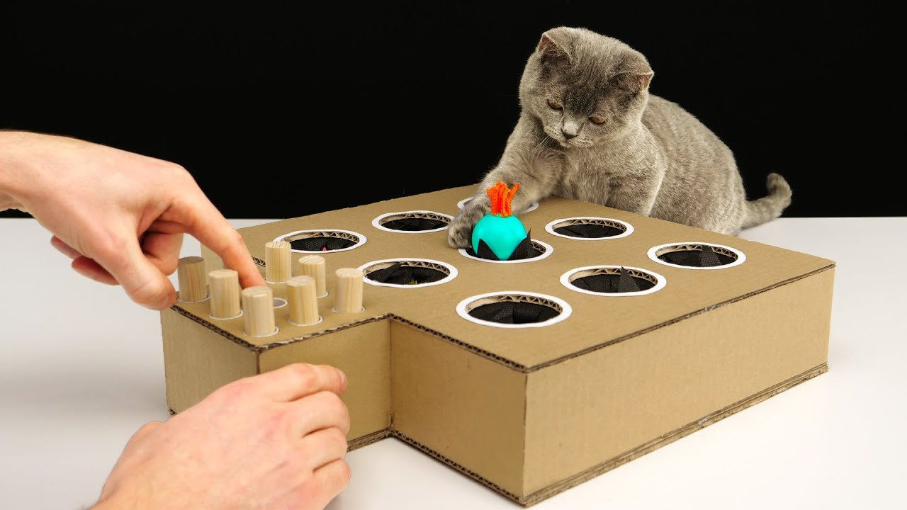 DIY Kitten Toys
 DIY Cat Toy Whack A Mole from Cardboard