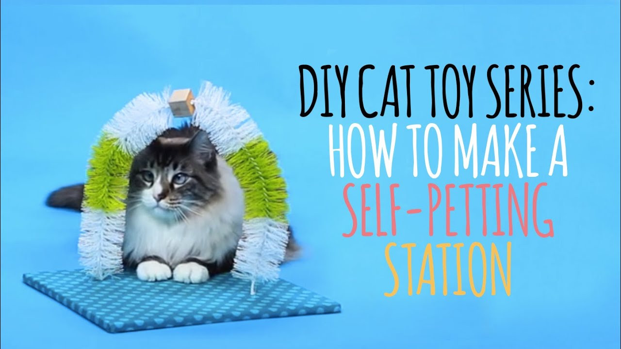 DIY Kitten Toys
 DIY Cat Toys How to Make a Self Petting Station