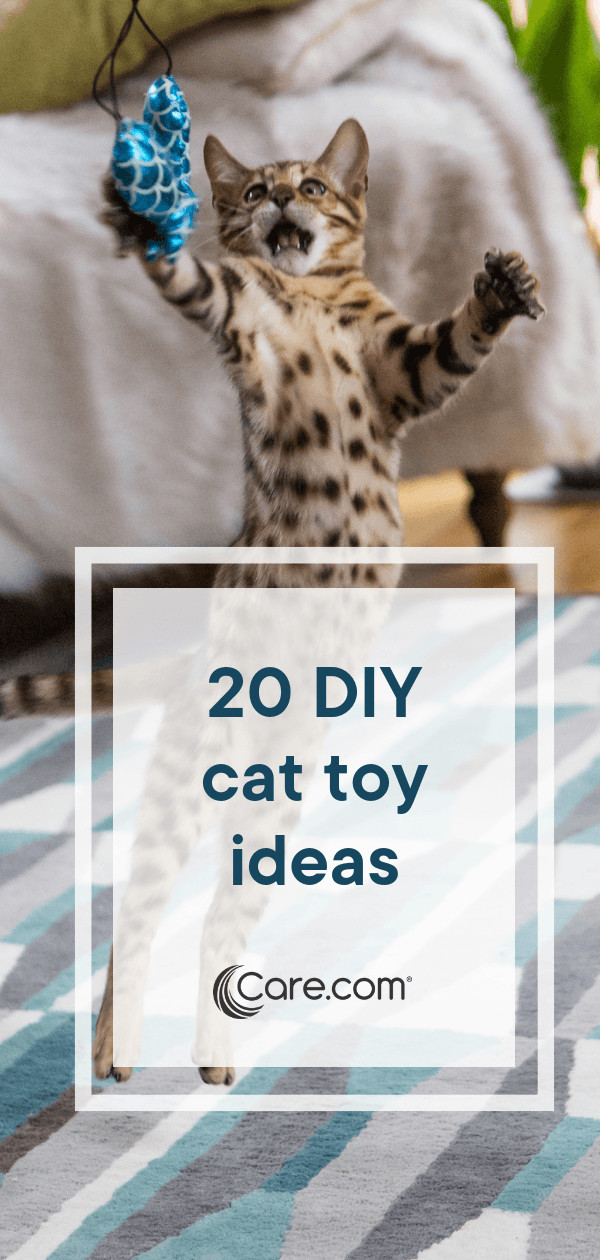 DIY Kitten Toys
 20 Fun And Easy Diy Cat Toys That Kitties Can’t Resist