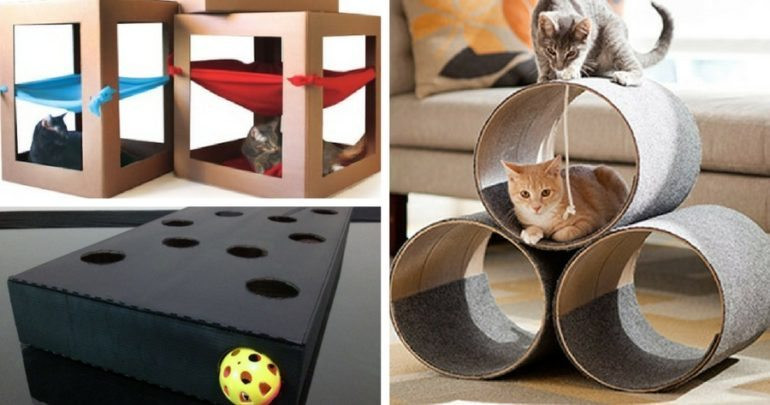 DIY Kitten Toys
 Feline Playful 5 DIY Cat Toys Your Kitty Will Love