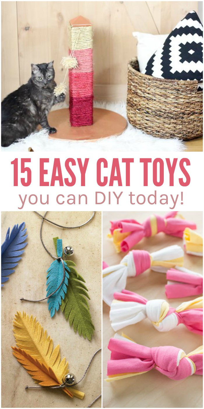 DIY Kitten Toys
 Chew Toys For Cats Diy