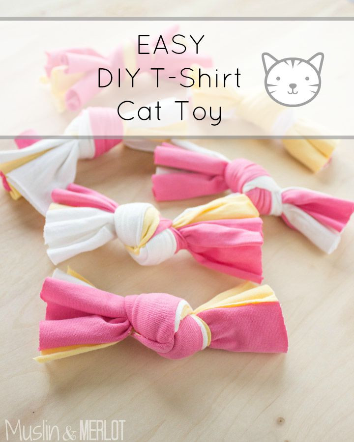 DIY Kitten Toys
 DIY T shirt Cat Toy SO EASY Muslin and Merlot