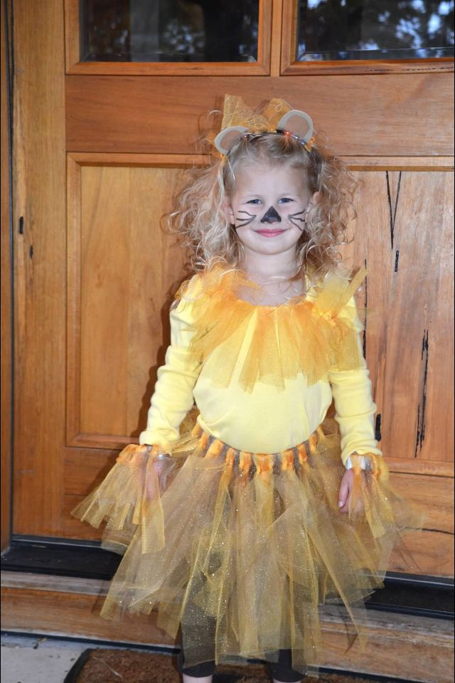 DIY Lion Costume For Toddler
 DIY lion tutu costume Pinterest made me do it