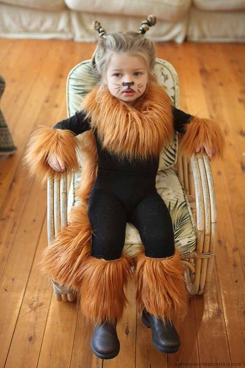 DIY Lion Costume For Toddler
 Pin on PArtenting