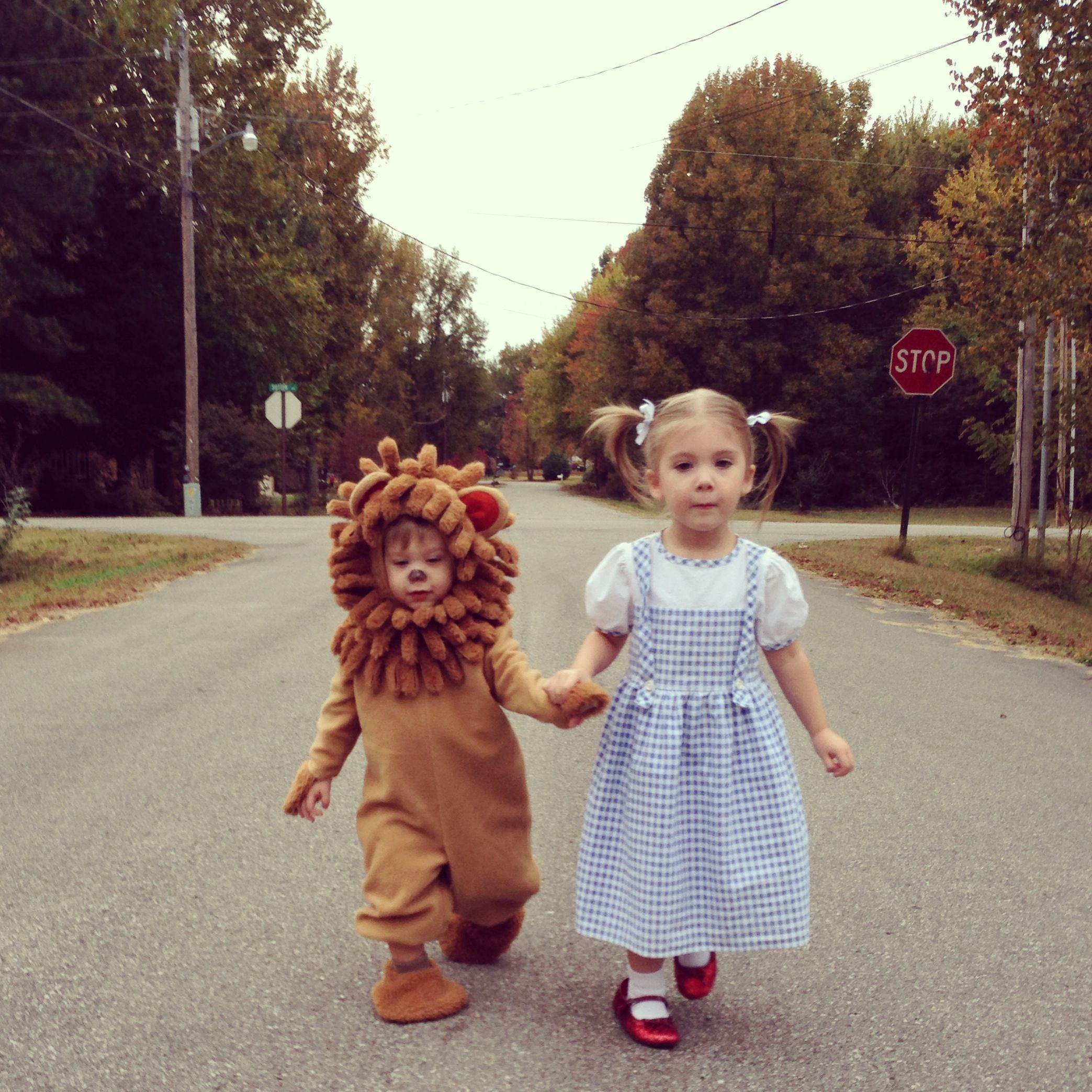 DIY Lion Costume For Toddler
 Dorothy and the cowardly lion Halloween toddler costumes