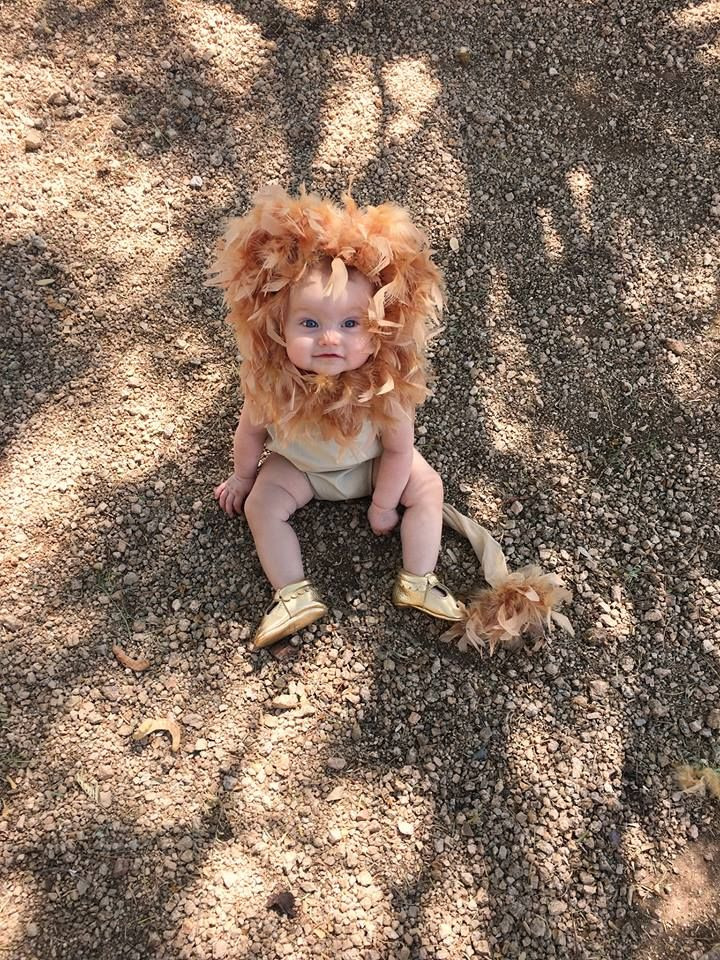 DIY Lion Costume For Toddler
 Lion Costume DIY