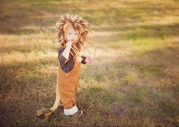 DIY Lion Costume For Toddler
 Lion CostumeNewborn Lion CostumeNewborn PropBaby