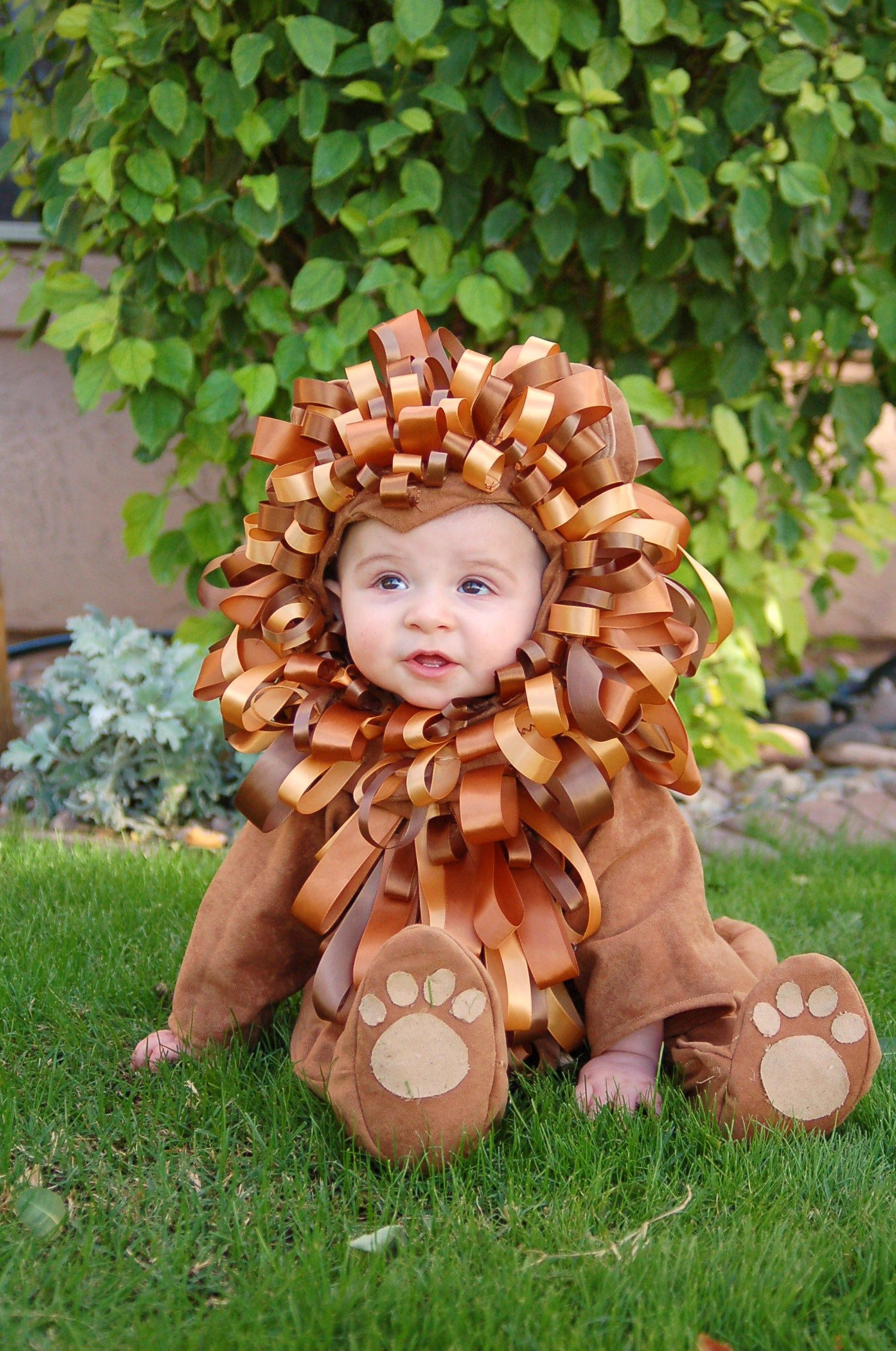 DIY Lion Costume For Toddler
 Roar Homemade Lion Costume