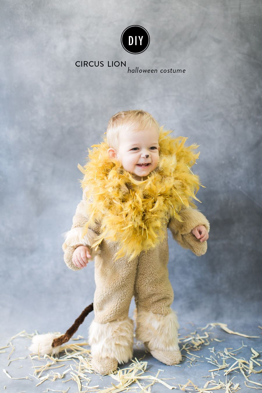 DIY Lion Costume For Toddler
 DIY Halloween Costume Circus Lion