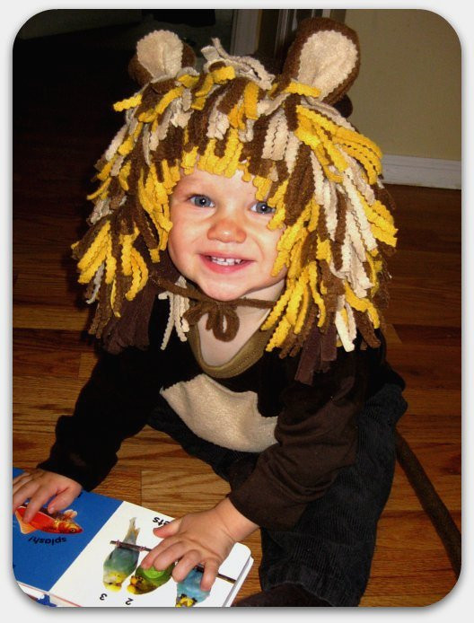 DIY Lion Costume For Toddler
 TryItMom Super Easy DIY Baby Lion Costume