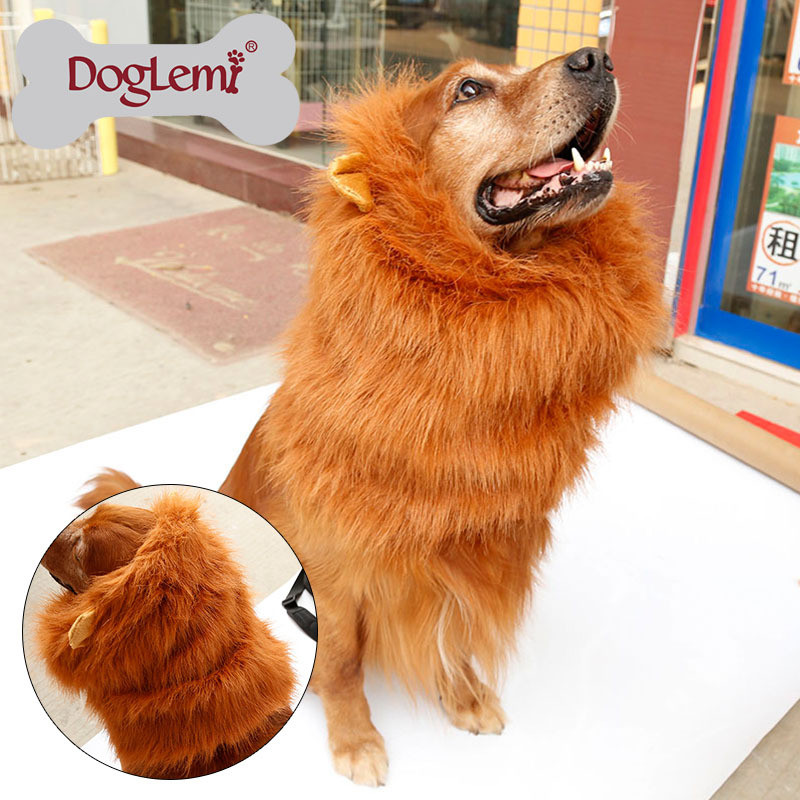 DIY Lion Mane For Dog
 DIY Lion Dog Costume ANIMAIS Pinterest Lions Costumes And