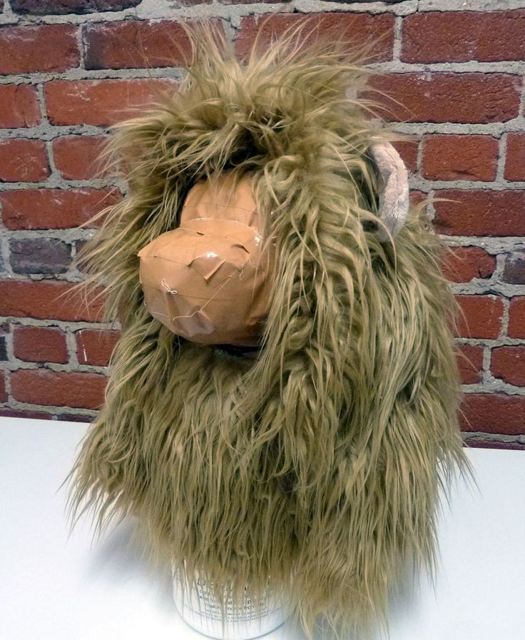 DIY Lion Mane For Dog
 Lion Dog Costume