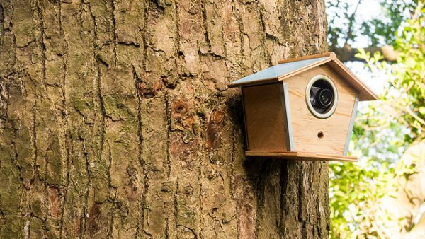 DIY Outdoor Security Camera
 Your IP security camera may not work out after find out