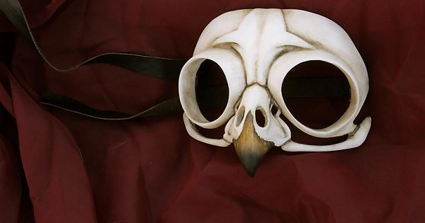 DIY Skull Mask
 For This year s Halloween I made an owl skull mask DIY