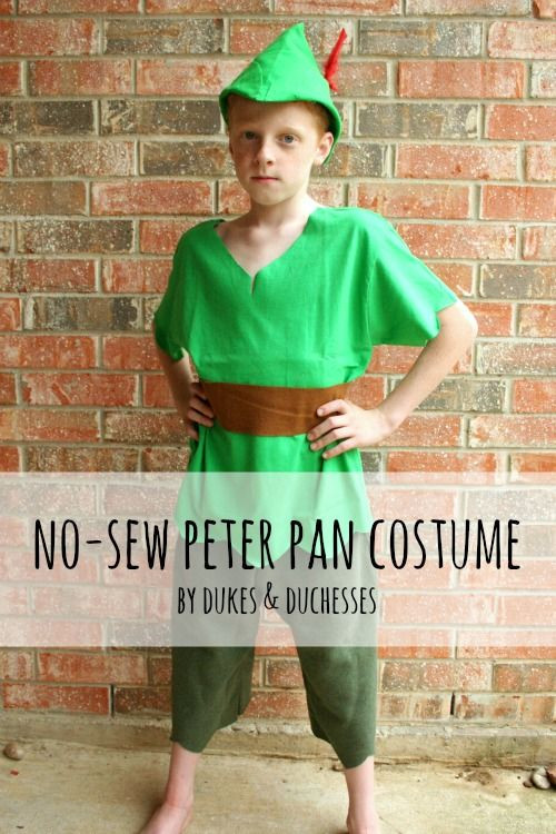 DIY Toddler Peter Pan Costume
 Make a quick and easy no sew DIY Peter Pan costume for