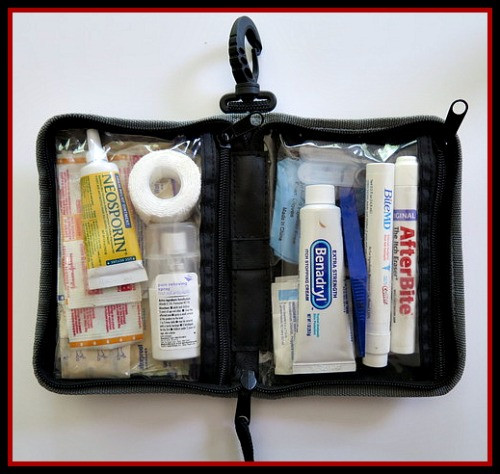 DIY Travel First Aid Kit
 Twenty Essential Items Every DIY Travel First Aid Kit Must