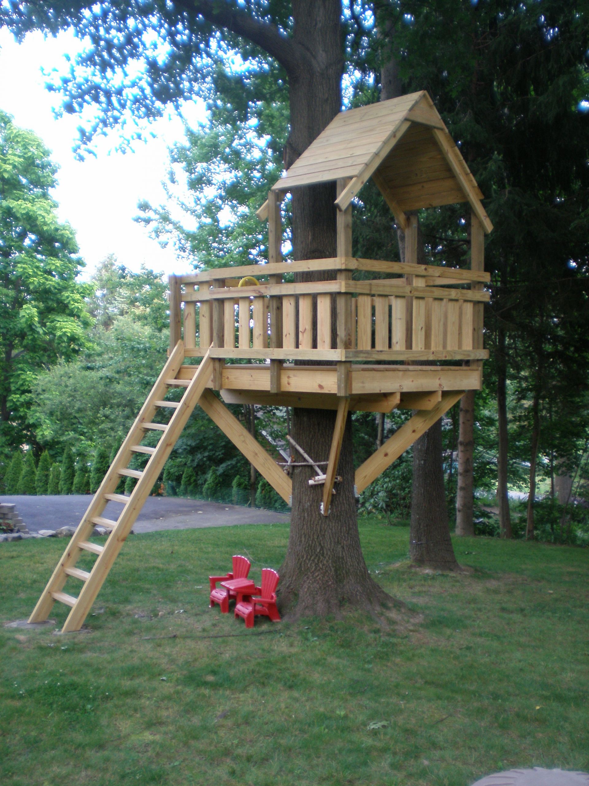 DIY Treehouse Kits
 tree fort