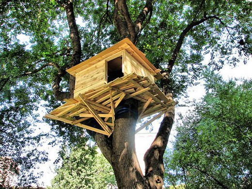 DIY Treehouse Kits
 Download Treehouse Kits For Kids Plans DIY china birch