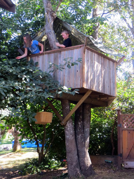 DIY Treehouse Kits
 30 DIY Tree House Plans & Design Ideas for Adult and Kids