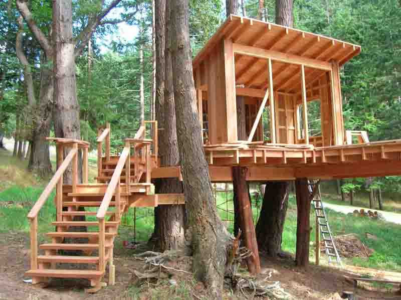 DIY Treehouse Kits
 How to Build a Treehouse in the Backyard