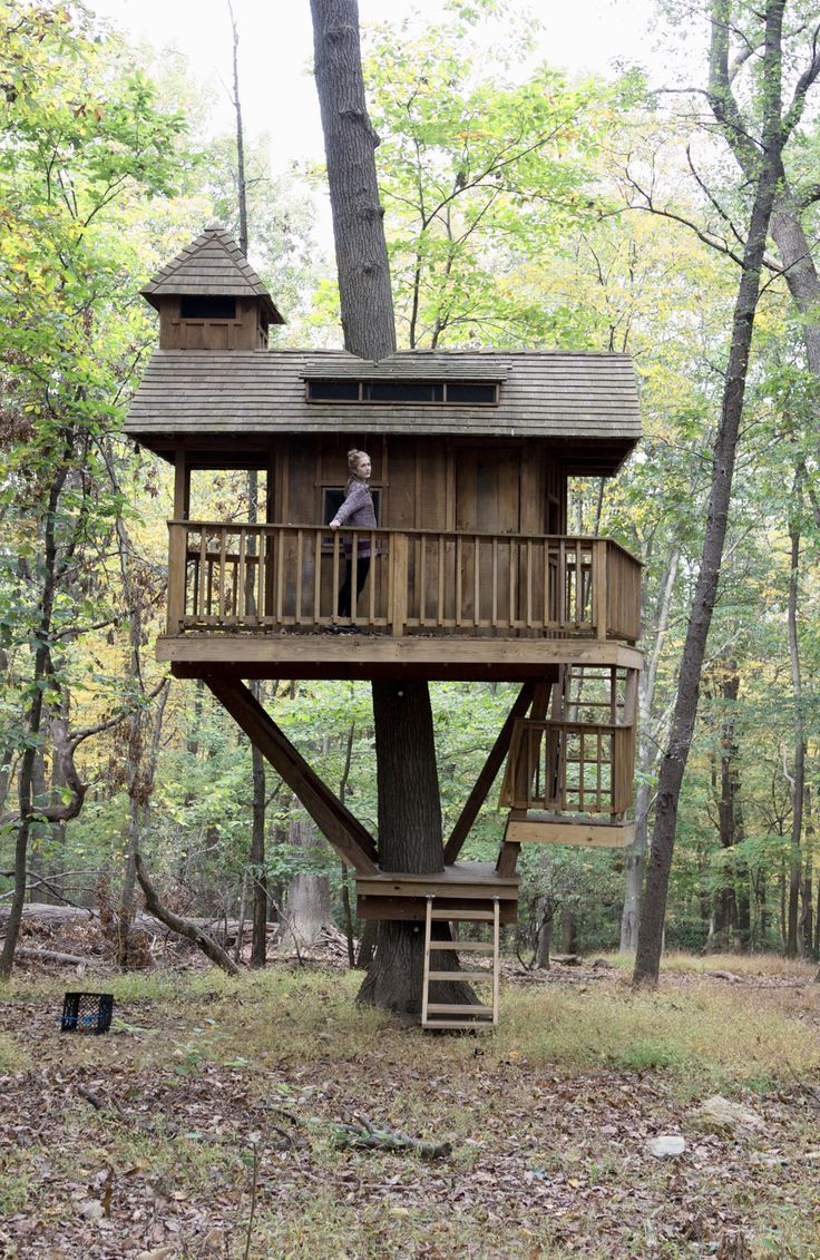DIY Treehouse Kits
 Outdoor Diy Treehouse For Creative And Refreshing Outdoor