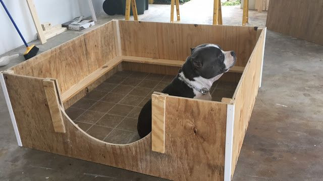 DIY Whelping Boxes
 How to Create A Quick Inexpensive Whelping Box BULLY