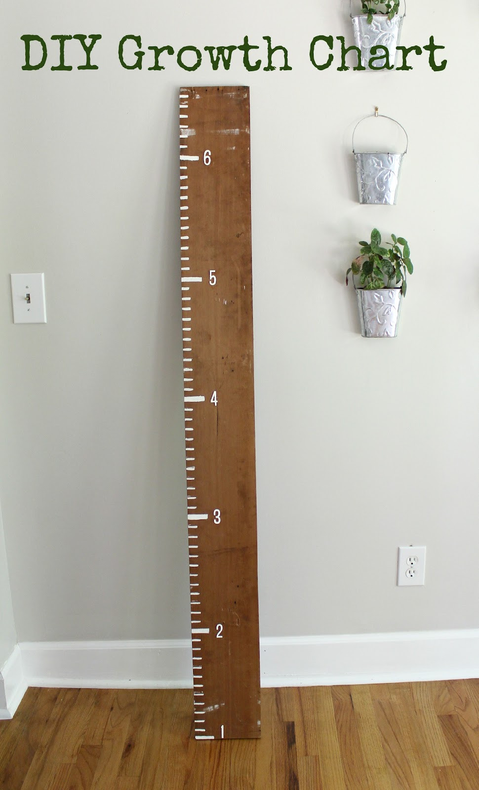 DIY Wood Growth Chart
 Diy Wood Growth Chart PDF Woodworking