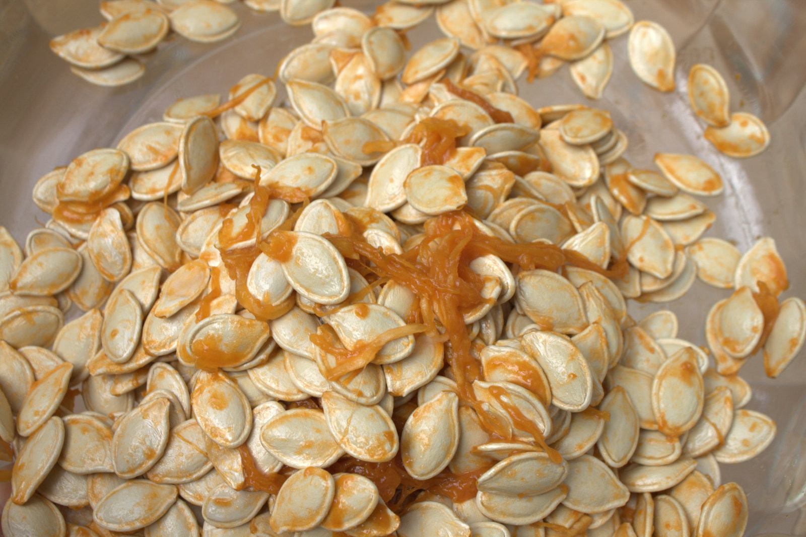 Do Pumpkin Seeds Have Fiber
 5 Pumpkin Seed Health Benefits