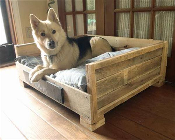 Dog Bed Furniture DIY
 8 DIY Pallet Beds For Dogs