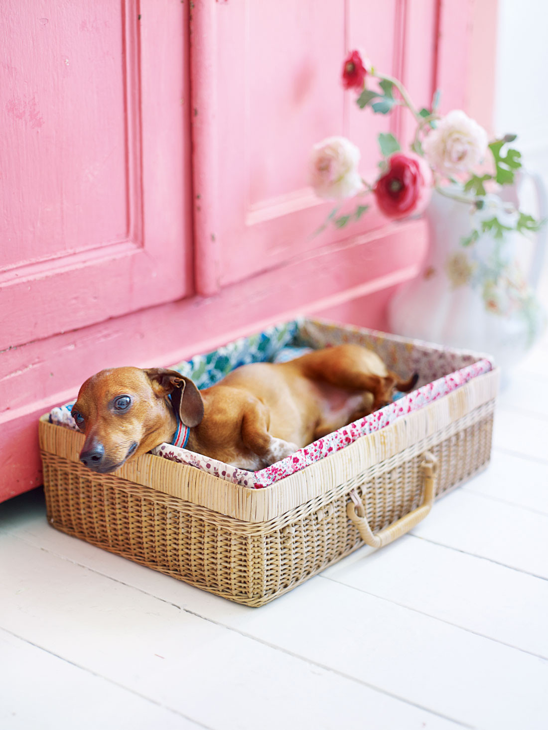 Dog Bed Furniture DIY
 DIY dog beds