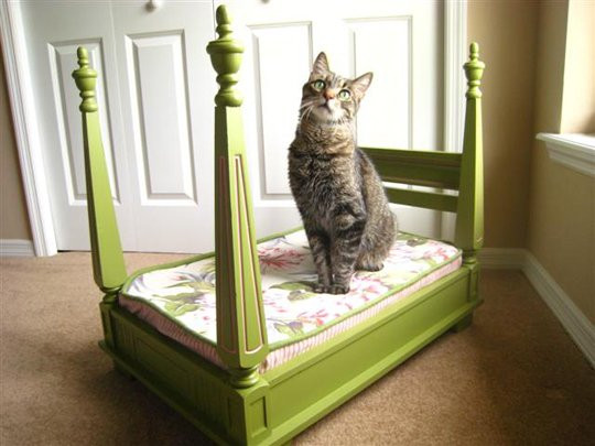 Dog Bed Furniture DIY
 9 Fabulous Pet Bed Ideas From Old Furniture
