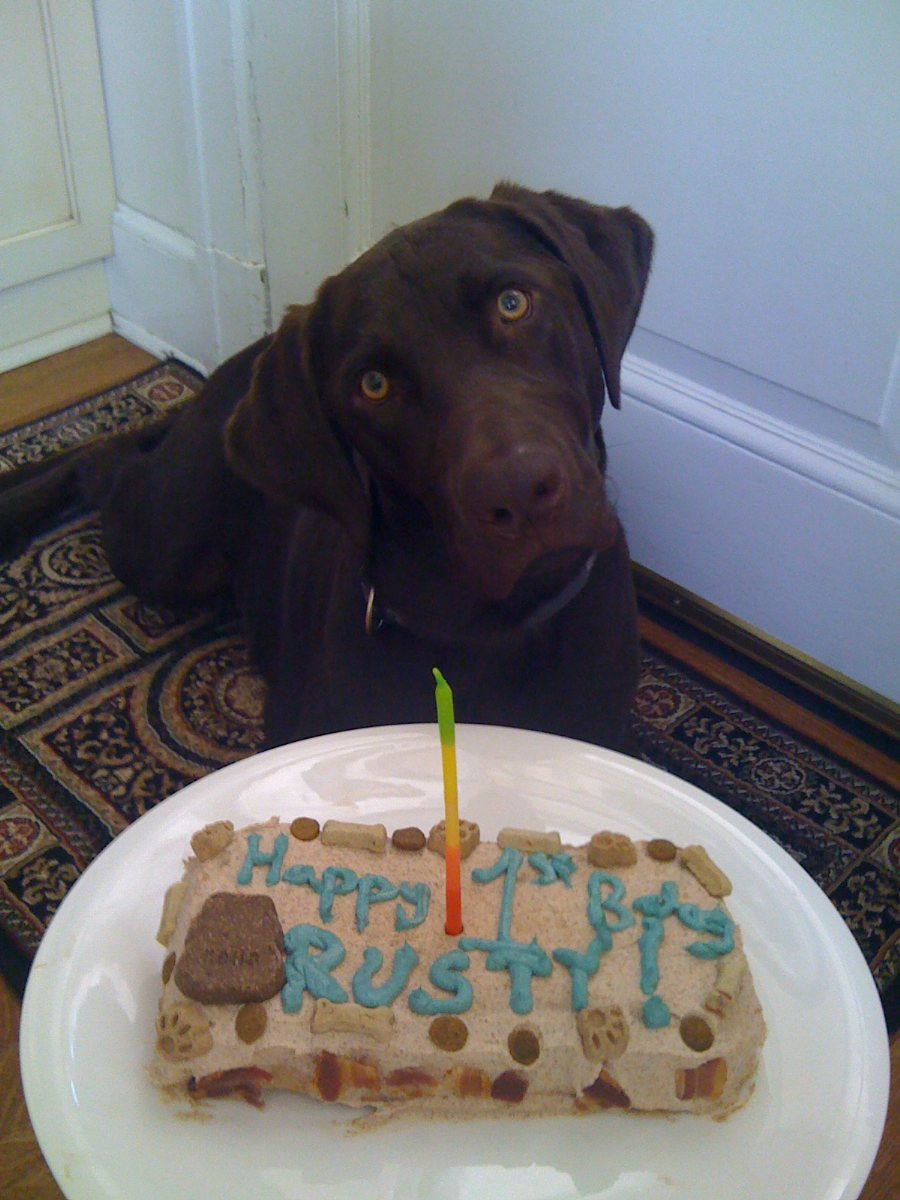 Dog Birthday Cakes
 Dog Birthday Cake BigOven
