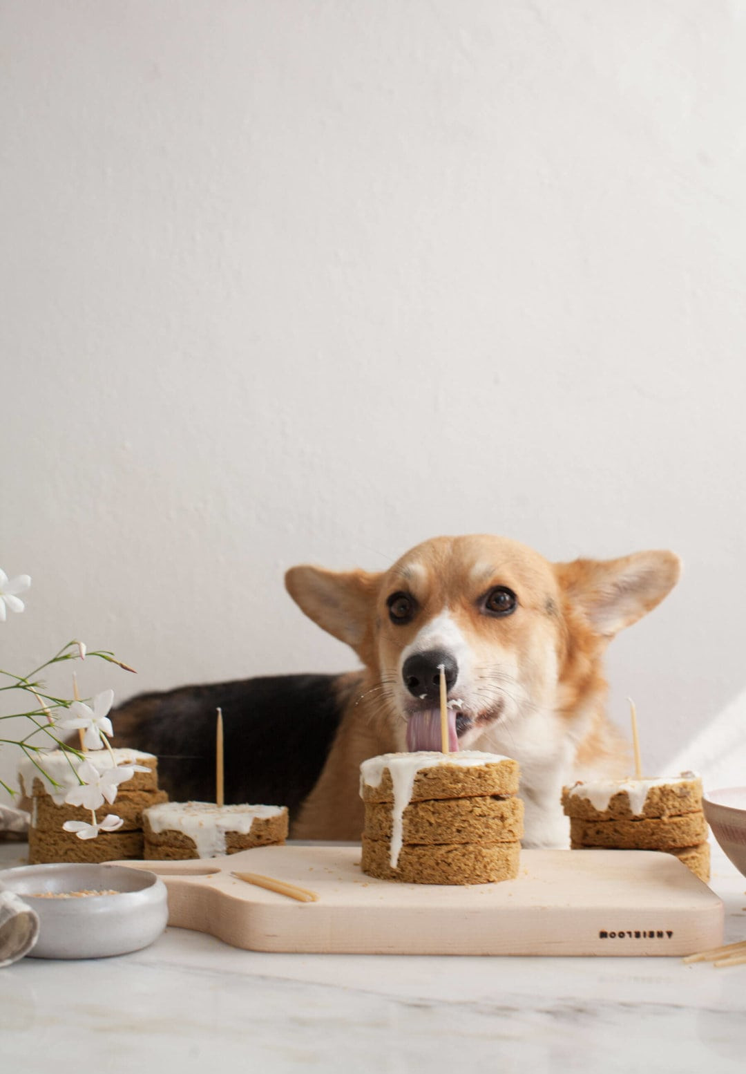 Dog Birthday Cakes
 Grain Free Mini Dog Cakes…for Amelia’s Birthday – A Cozy