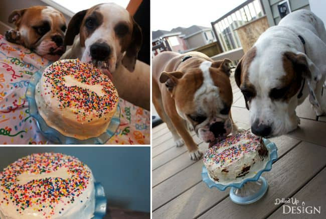 Dog Birthday Cakes
 Puppy Cake Recipe Idea Moms & Munchkins