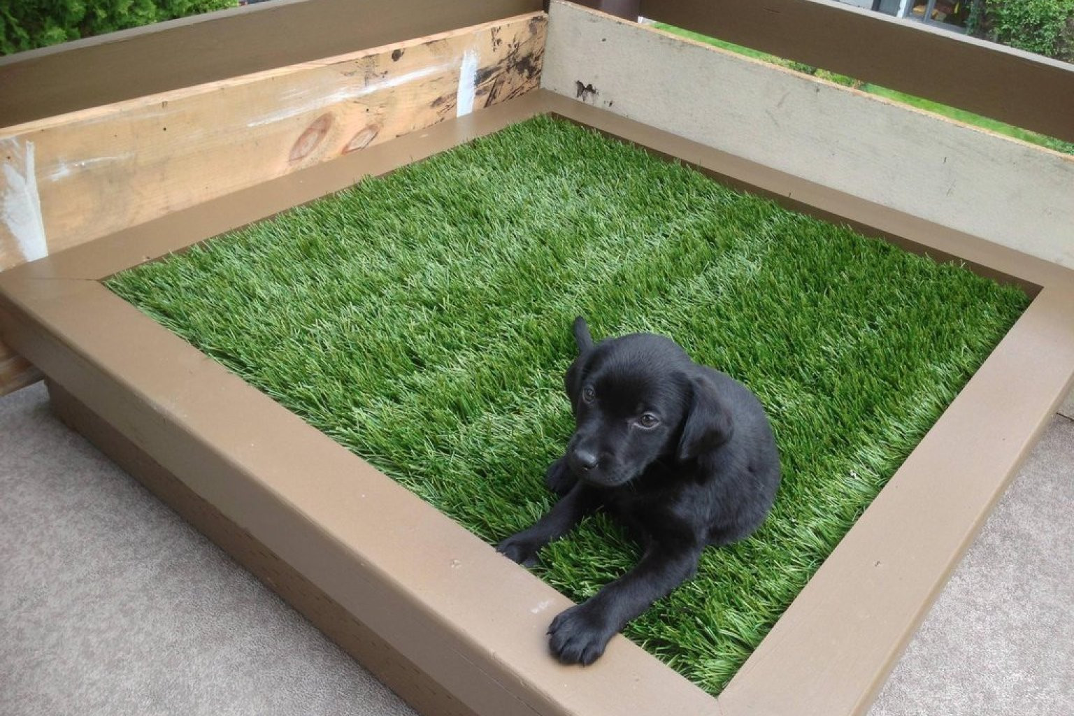 Dog Potty Grass DIY
 DIY Porch Potty Is The Ultimate Solution For City Dogs