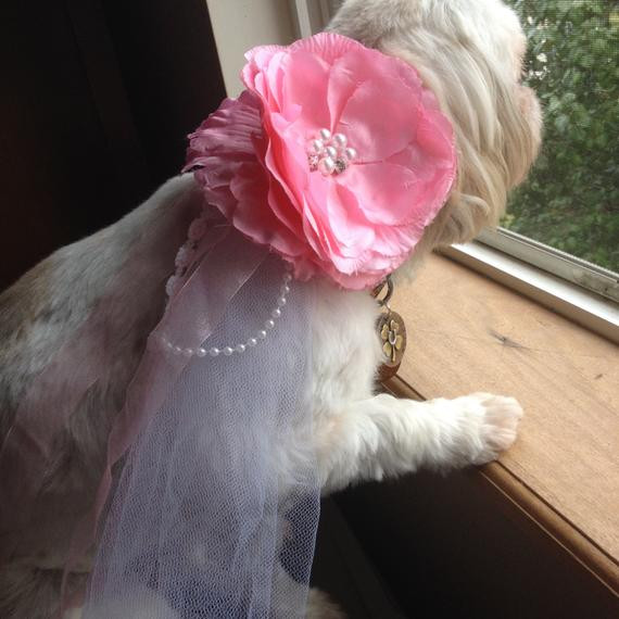 Dog Wedding Veil
 DOG FLOWER Veil Pink white net with Pink by