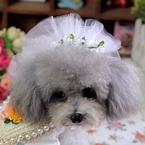 Dog Wedding Veil
 Bro Bear Dog Wedding Clip Veil Doggie Lace Headwear Puppy