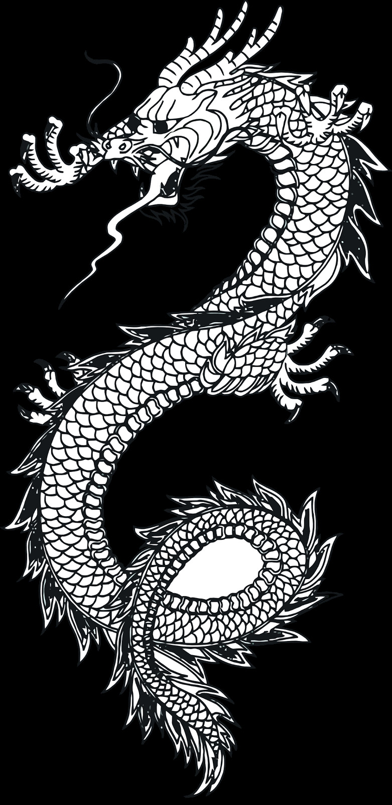 Dragon Coloring Pages Free Printable
 Coloring Pages Dragon Coloring Pages Free and Printable