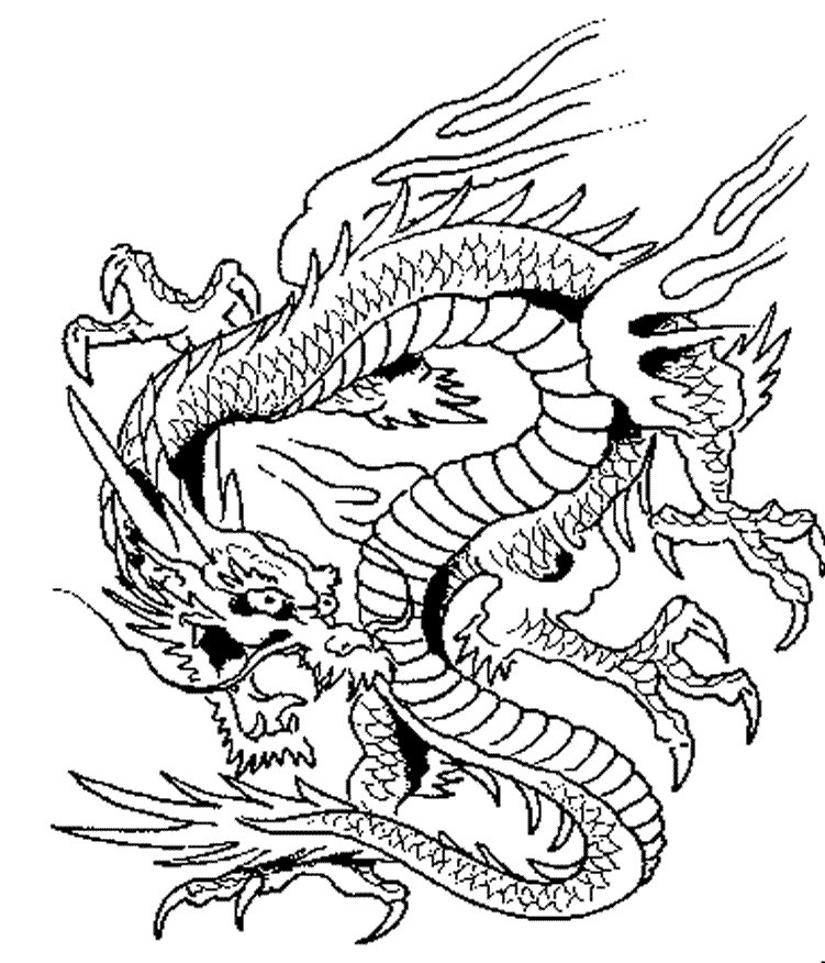 Dragon Coloring Pages Free Printable
 Dragon Coloring Pages Printable