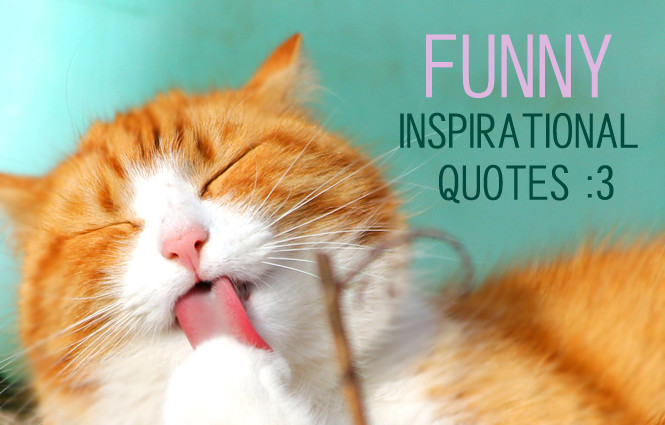 Dumb Motivational Quotes
 Quotes About Having Fun And Relaxing QuotesGram