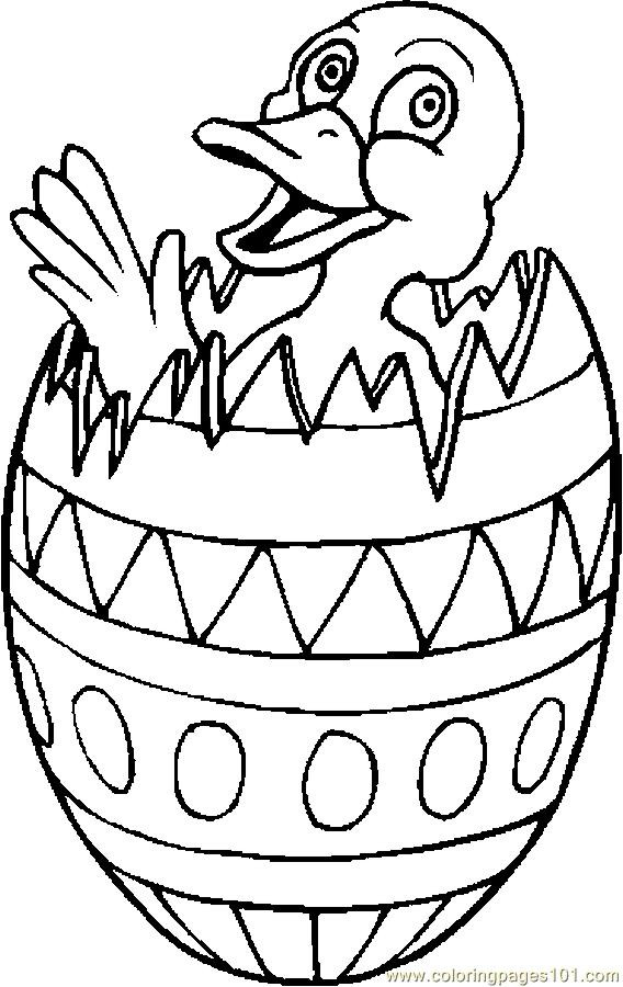 Easter Egg Printable Coloring Pages
 Looking for Natural duck egg hatching