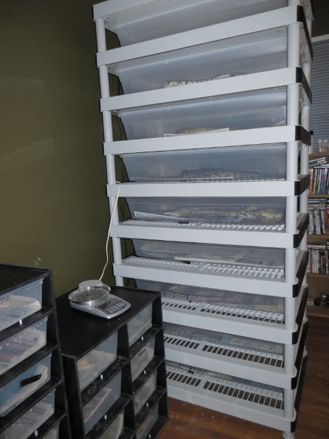 Easy DIY Snake Rack With Heat
 Slitherin Sisters