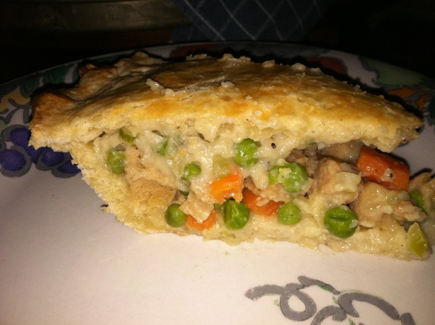 Easy Low Cholesterol Recipes
 Chicken Pot Pie No Cholesterol And Extremely Low In Fat