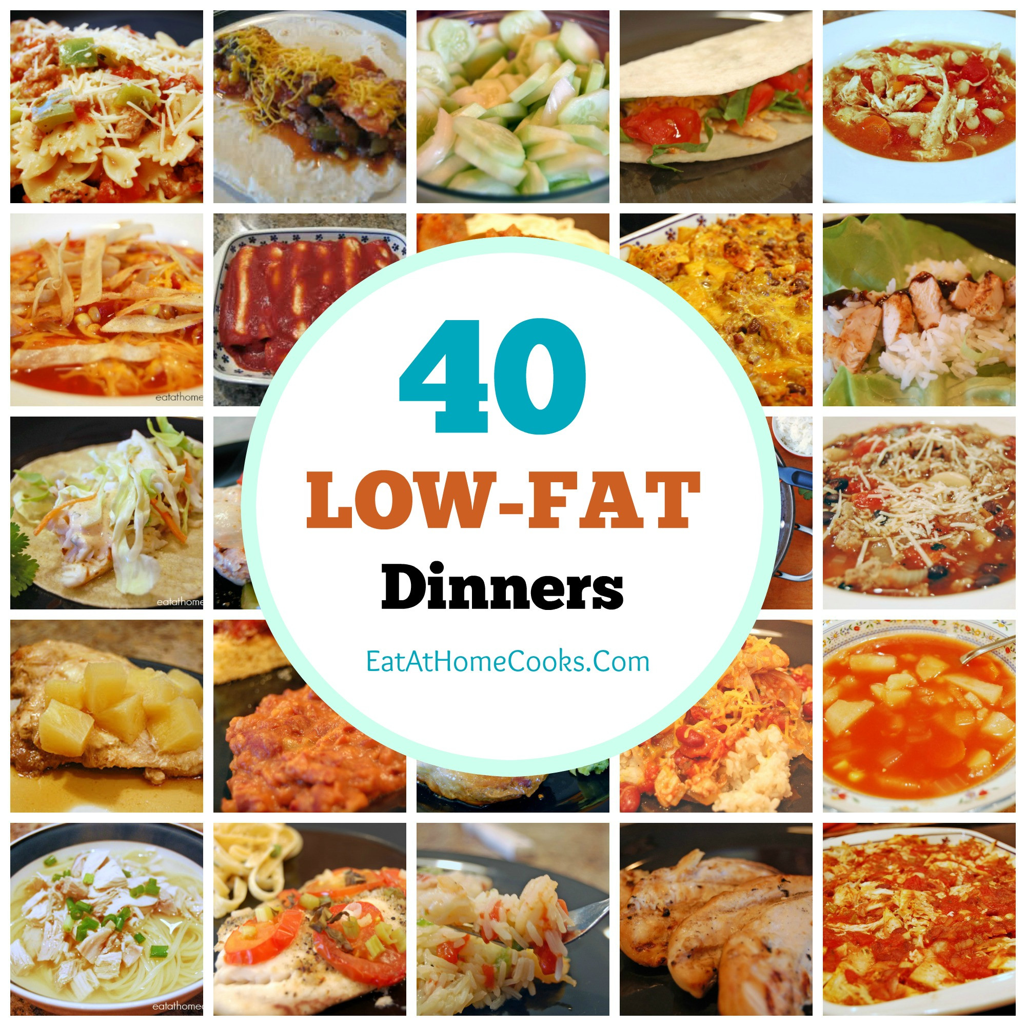 Easy Low Cholesterol Recipes
 My Big Fat List of 40 Low Fat Recipes Eat at Home