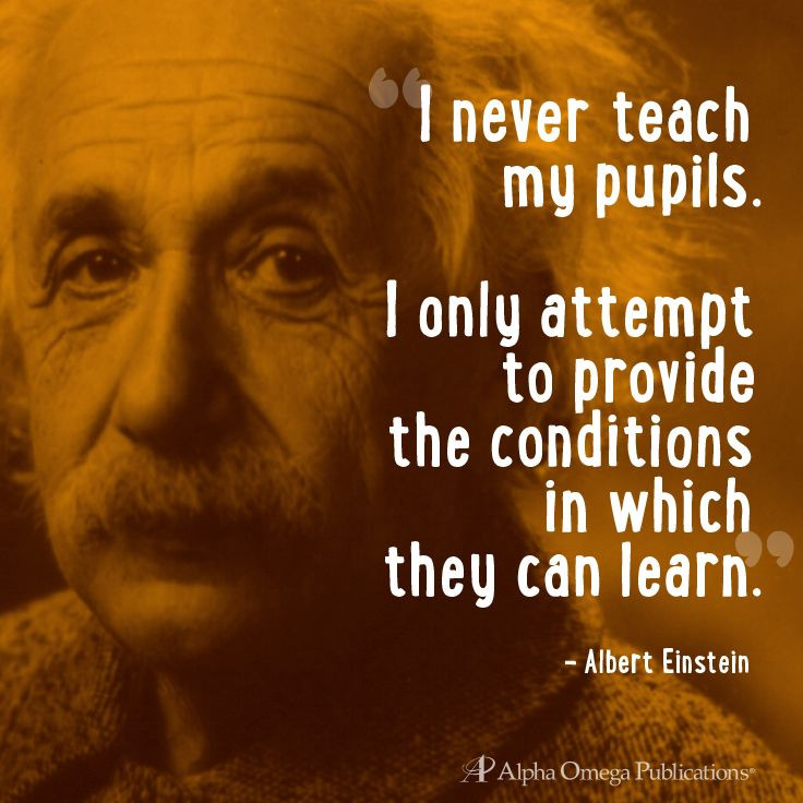 Einstein Quote About Education
 Einstein quote homeschool learning