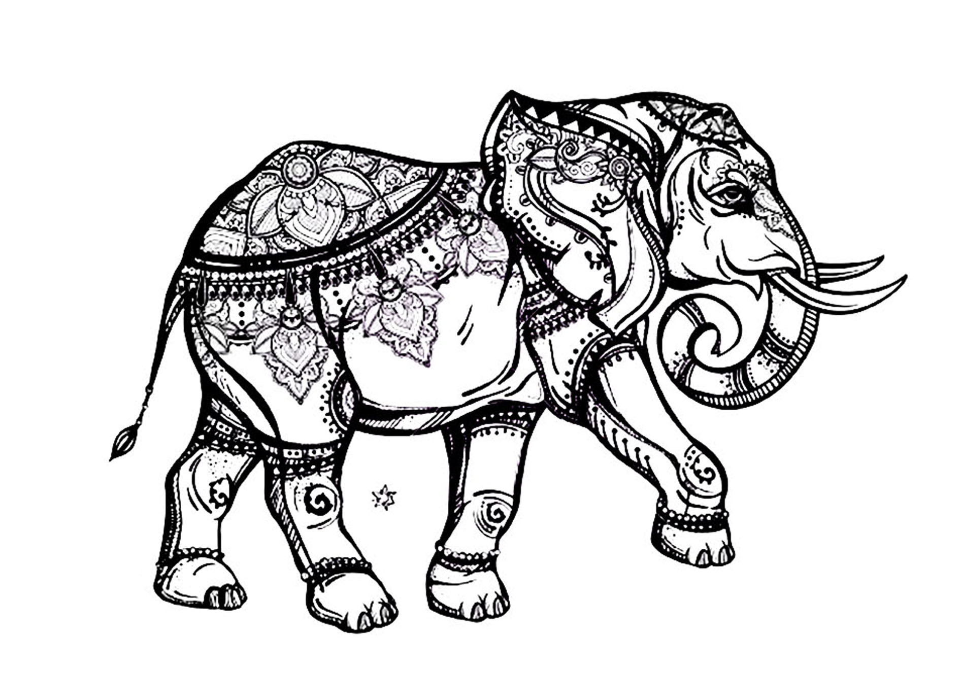 Elephant Coloring Book For Adults
 Elegant elephant Elephants Adult Coloring Pages