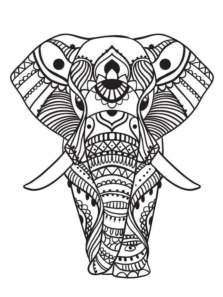 Elephant Coloring Book For Adults
 Elephant Coloring Pages for Adults Best Coloring Pages