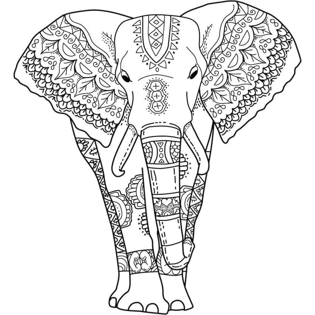 Elephant Coloring Book For Adults
 Elephant Coloring Pages for Adults